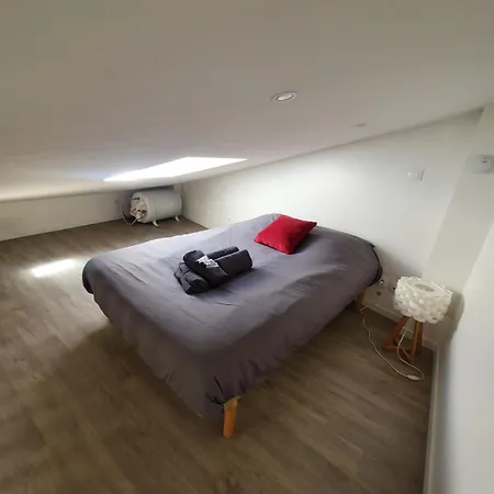Apartment Superbe Renove - Lyon-groupama Stadium